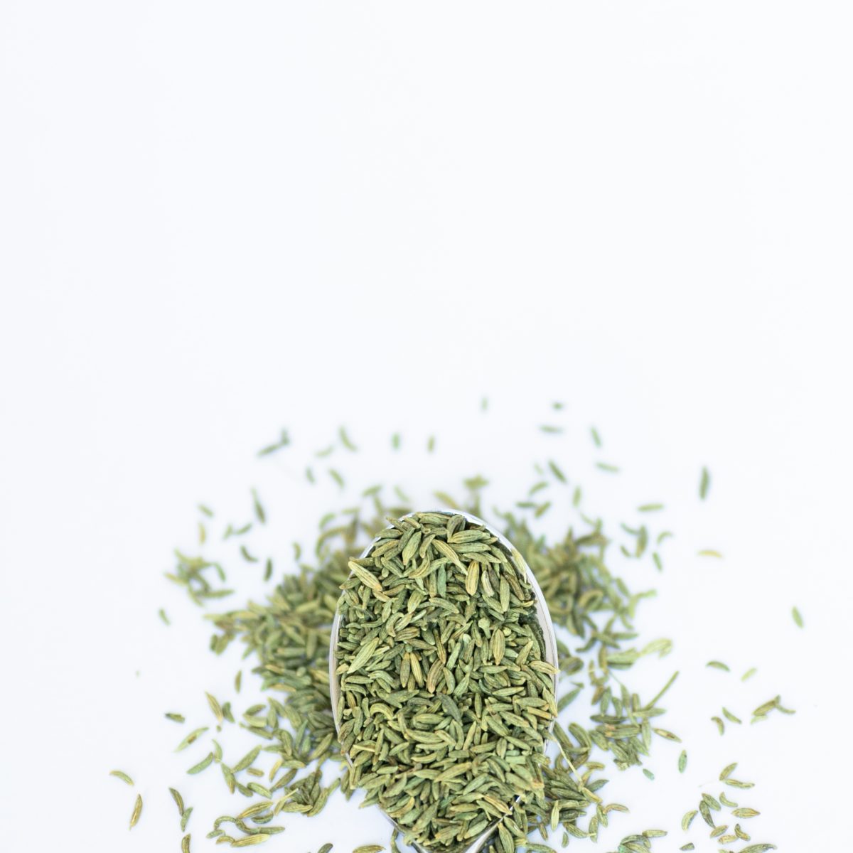 Anise Seed - Organic - Summit Tea - Wholesale Herbs & Spices