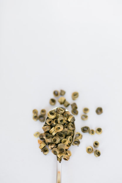 Light green and yellow tea leaves wrapped around a hollow center spilling over the silver spoon onto the white background