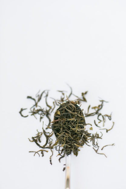 Wiry green tea leaves overflowing the silver spoon onto the white background