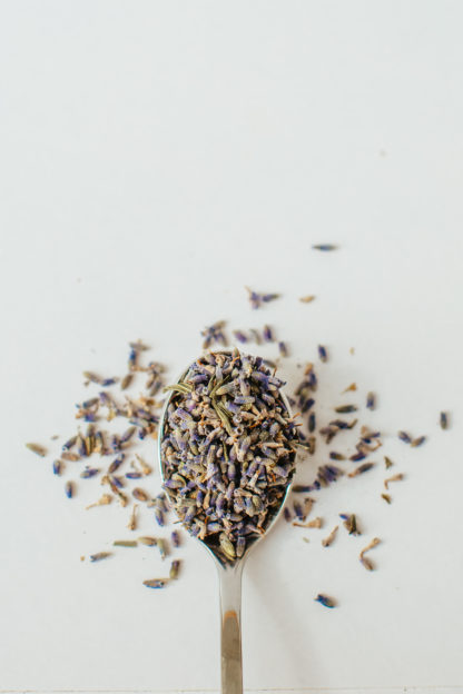 Tiny brilliant purple lavender florets sprinkled from a silver spoon onto to a white background