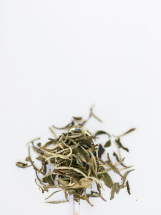 Wide and dark green tea leaves mixed with white tea needles spill over the silver spoon edge onto the white background