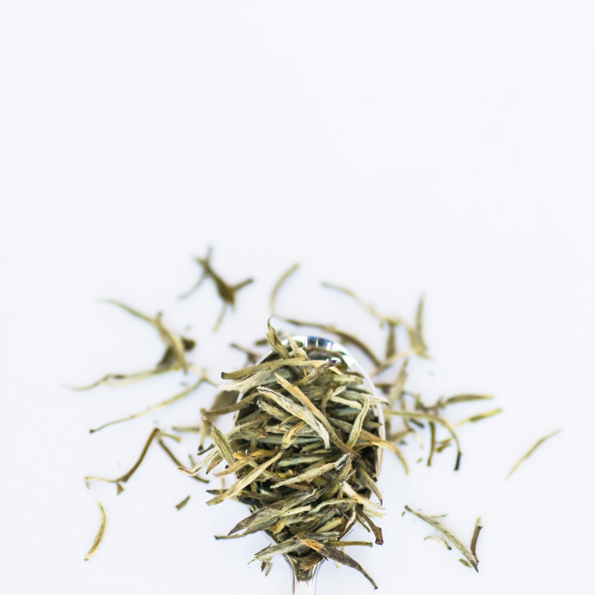 White Silver Needle Summit Tea Loose Leaf Tea