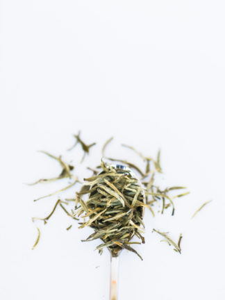 Light green and white tea needles overflow the silver spoon onto the white background