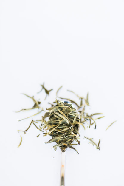 Light green and white tea needles overflow the silver spoon onto the white background