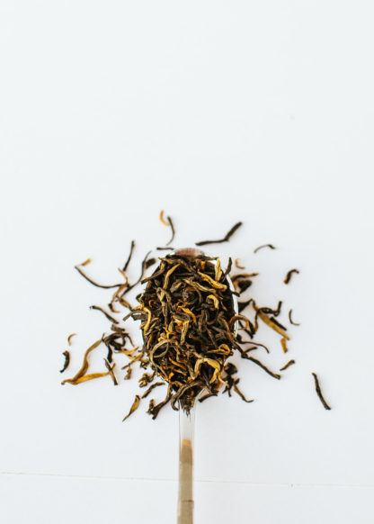 Yellow gold tendril tea buds scooped by a silver spoon spilling onto a white background