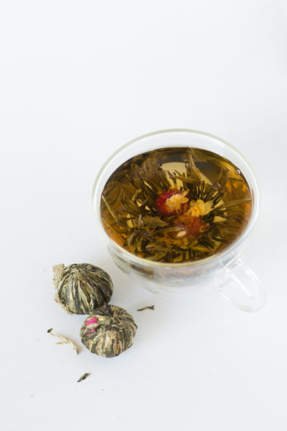 Hand formed balls of green and white tea leaves shaped around bright red amaranth flowers at the base of suspended jasmine flowers unfold in a tea cup on white background