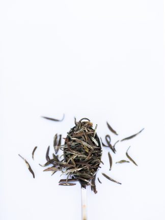 Dark green loose leaf tea resembling bamboo leaves overflowing a silver spoon on white background