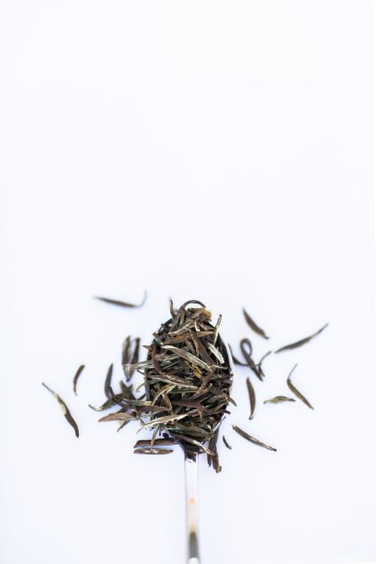 Dark green loose leaf tea resembling bamboo leaves overflowing a silver spoon on white background
